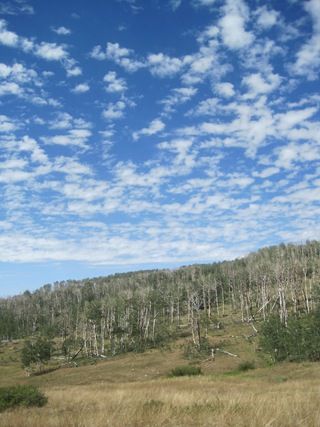 IMG_5400 IMG_5400