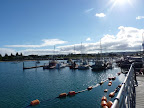 P1020038.JPG