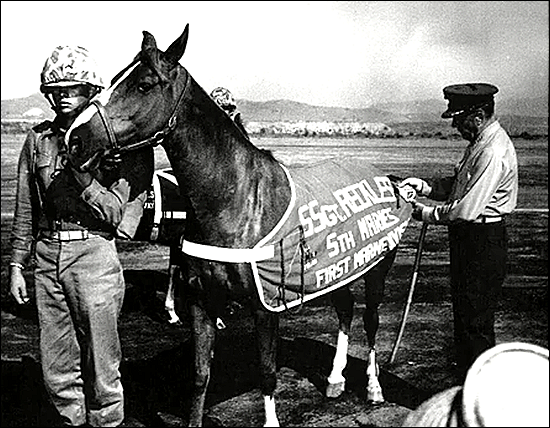 sgt-reckless