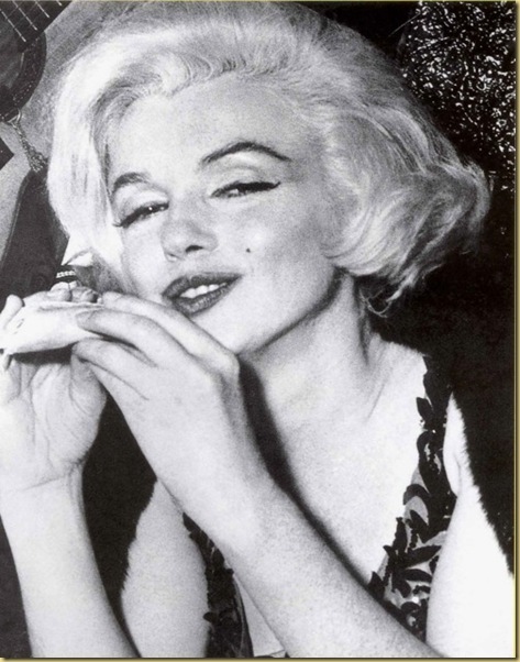 taco-marilyn