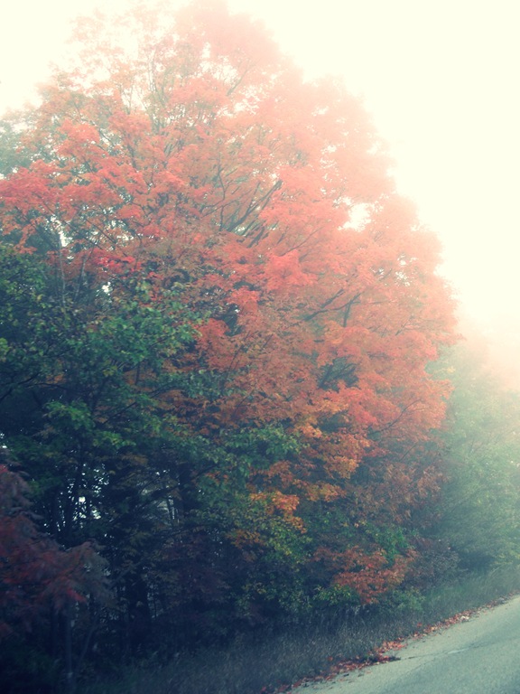 [011%255B8%255D.jpg]