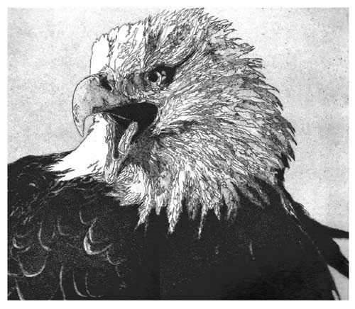 [Vita%2520VI%2520-%2520Aquila%252C%25201999%255B4%255D.jpg]