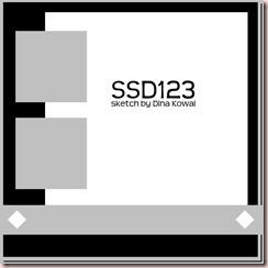 SSD123.jpg