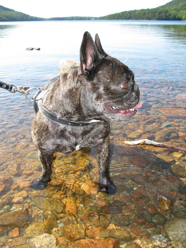 This is certainly very clear water and I am feeling really, really thirsty.