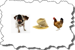 the dog, the rice, the hen the dog, the rice, the hen