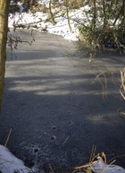 paws across the pond