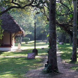 Marari Beach Resort