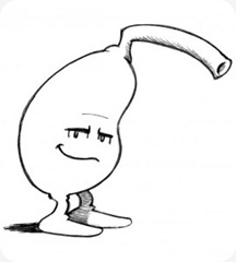 Gallbladder Gallbladder