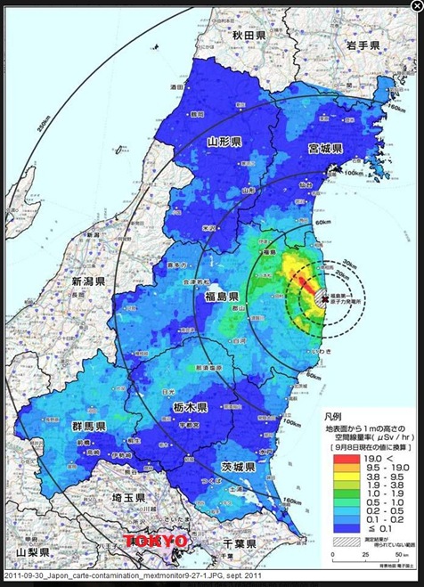 mapa de la contaminacion japonesa