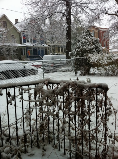 IMG_1219-2010-12-20-10-08.jpg
