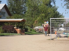 IMG_8733 IMG_8733