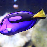 IMG_4797.JPG