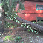 2012-08-06 17.36.58.jpg