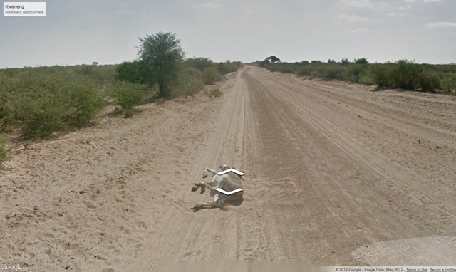 Donkey-Googl;e-4 Donkey-Googl;e-4