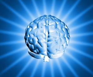 brain_.jpg
