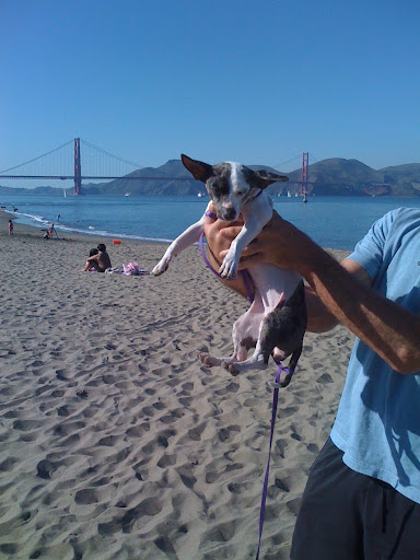 ...and a stop in San Francisco.