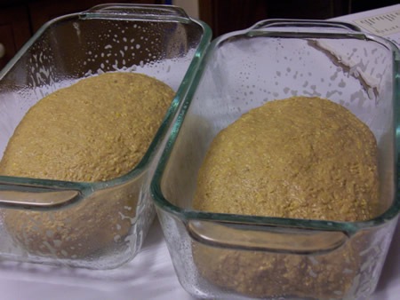 [anadama-corn-bread%2520015%255B2%255D.jpg]