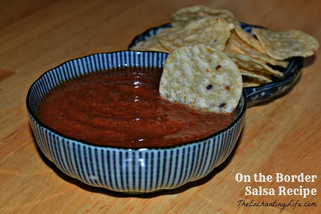 [On%2520The%2520Border%2520Salsa%255B7%255D.jpg]