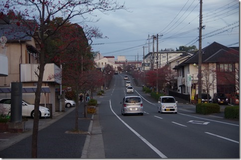 IMGP6113 IMGP6113
