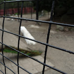 P1090694.JPG