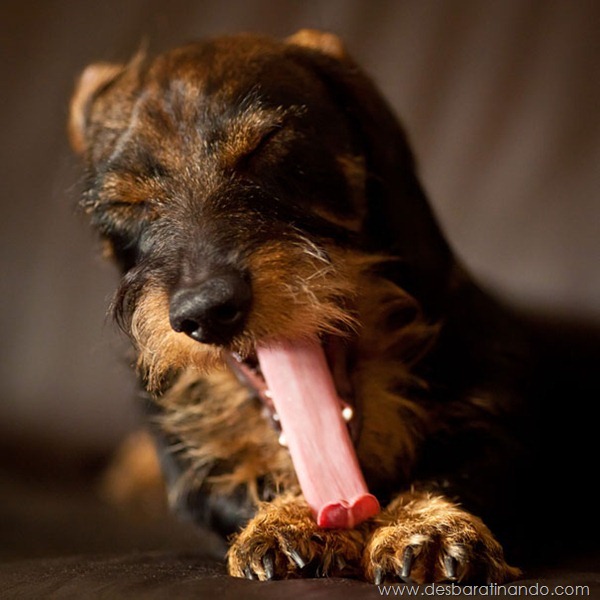 Yawn Yawn