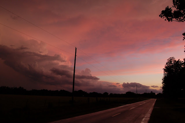 DSC_0784.JPG