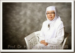 Prof. Dr. Hj. Nina Herlina Lubis, MS