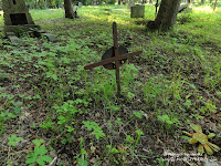 Cmentarz przy ul. Samotnej w Poznaniu