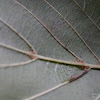 dsc05892.jpg