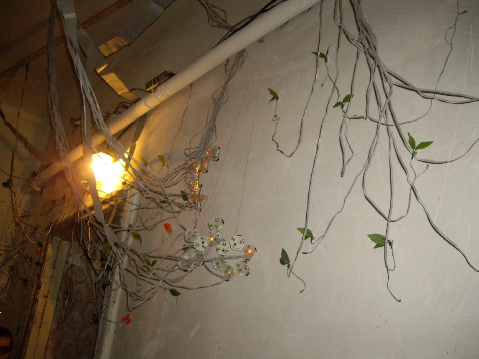 IMGP9441.JPG