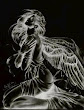Young Angel Lady