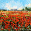 Amapolas en Alcúdia