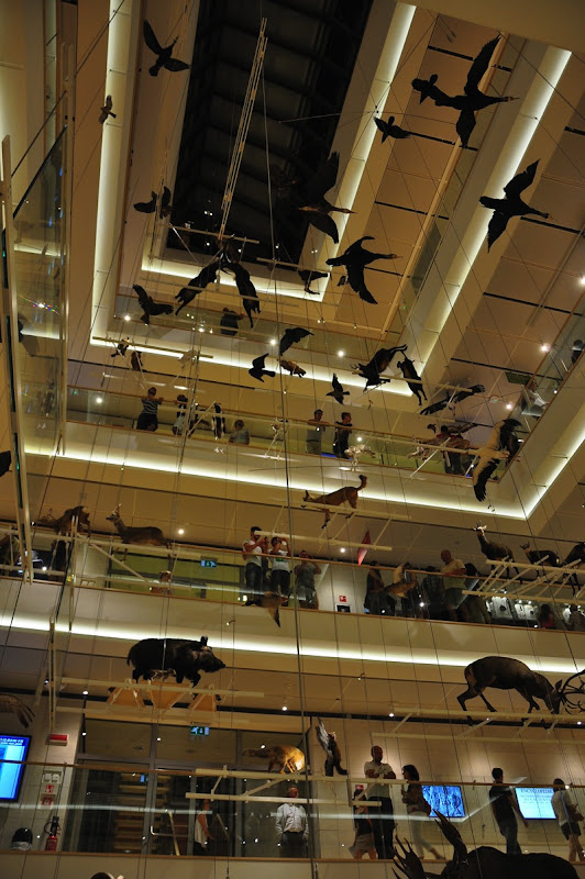 DSC_8963.jpg DSC 8963