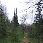 IMG_1911.jpg