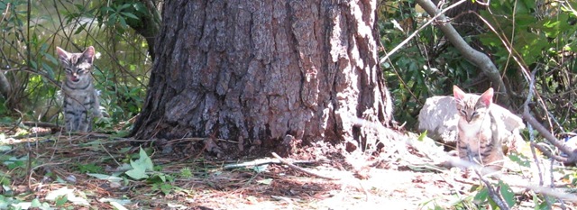 [IMG_8677CROPPED2.jpg]
