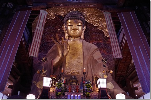 IMGP5538 IMGP5538