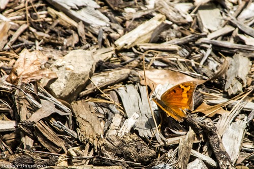 [130525_E-3%255B4%255D.jpg]