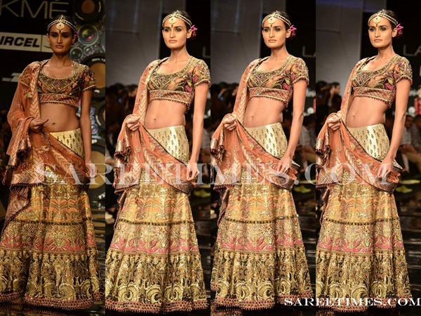 [jj_Valaya_Designer_Saree_LFW2011%2520%25286%2529%255B3%255D.jpg]
