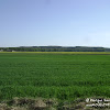 Wał Zielonogórski dsc06384.jpg