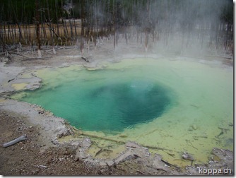 110825 NP Yellowstone (5)