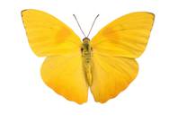 Image Dimension: 188x147 :: Some of the Best Moments in Life: Some of the Best Moments in Life: