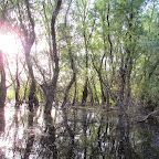 IMG_7884.JPG