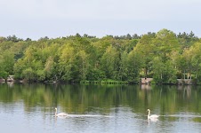 DSC_1217.JPG