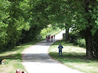 DSCF1410.JPG