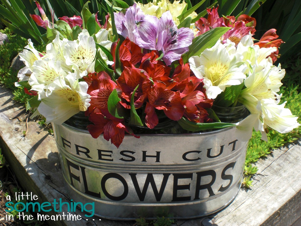 [Flowers%25201%2520WM%255B6%255D.jpg]