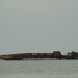 DSC04222.JPG