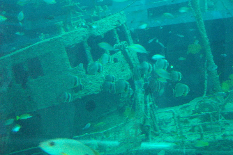img_027.jpg