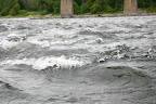 http://lh4.ggpht.com/-zrQOh3BfWHQ/THHb0oloWRI/AAAAAAAAANI/K0ZrYsgYIAs/s1600/IMG_0243.JPG