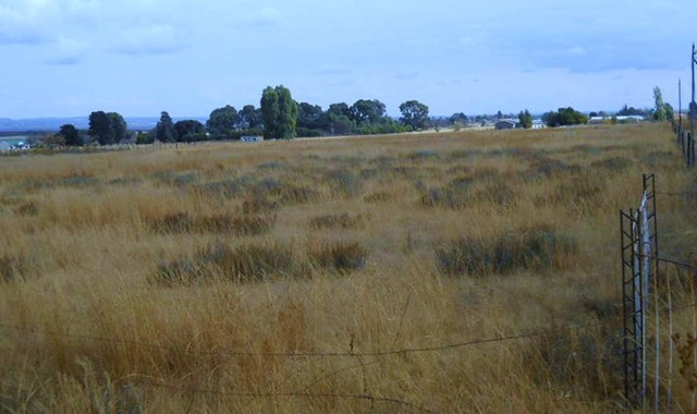 [Vleikop%2520Randfontein%25202ha%2520smallholding%2520sells%2520for%2520R275thousand%255B8%255D.jpg]