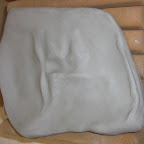 CIMG0305.JPG